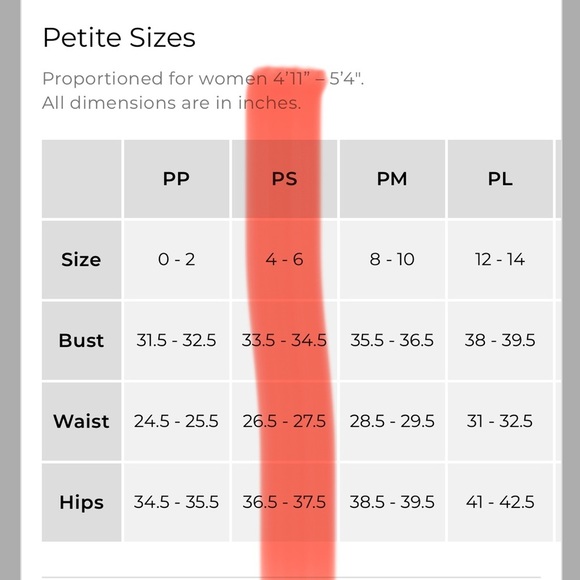 Talbots Cotton Blue Kitty Tweed Shift Sweater Dress Small Petite - Picture 11 of 12